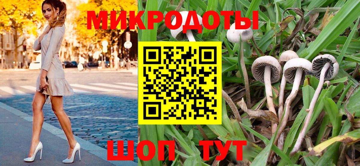 Псилоцибиновые грибы Psilocybe  Псилоцибиновые грибы ЛСД  Архангельск  Вход с VPN 