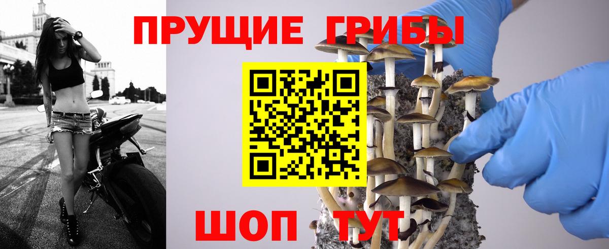 Галлюциногенные грибы Cubensis Архангельск